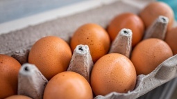 1,7 Milyon Karton Organik Kahverengi Yumurta Salmonella Nedeniyle Geri Çağrıldı