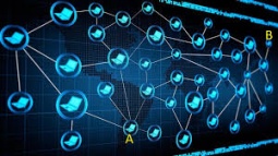 Blizzrd'ın Sunucuları DDoS Saldırısına Uğradı!