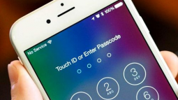 Polise iPhone Şifresini Vermeyen Zanlı Tutuklandı!