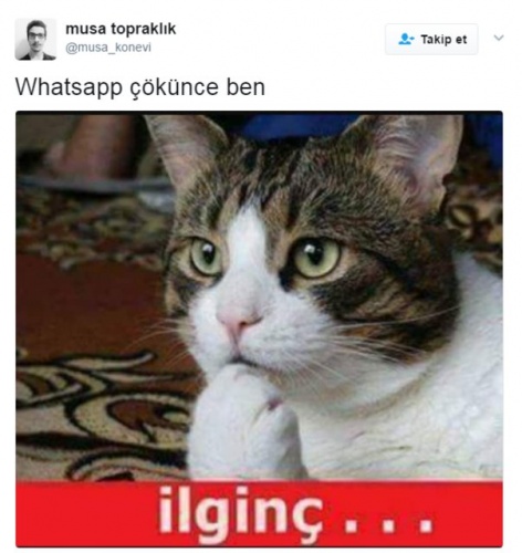 WhatsApp'ın Çöküşüyle Espiri Fırtınası Esti!